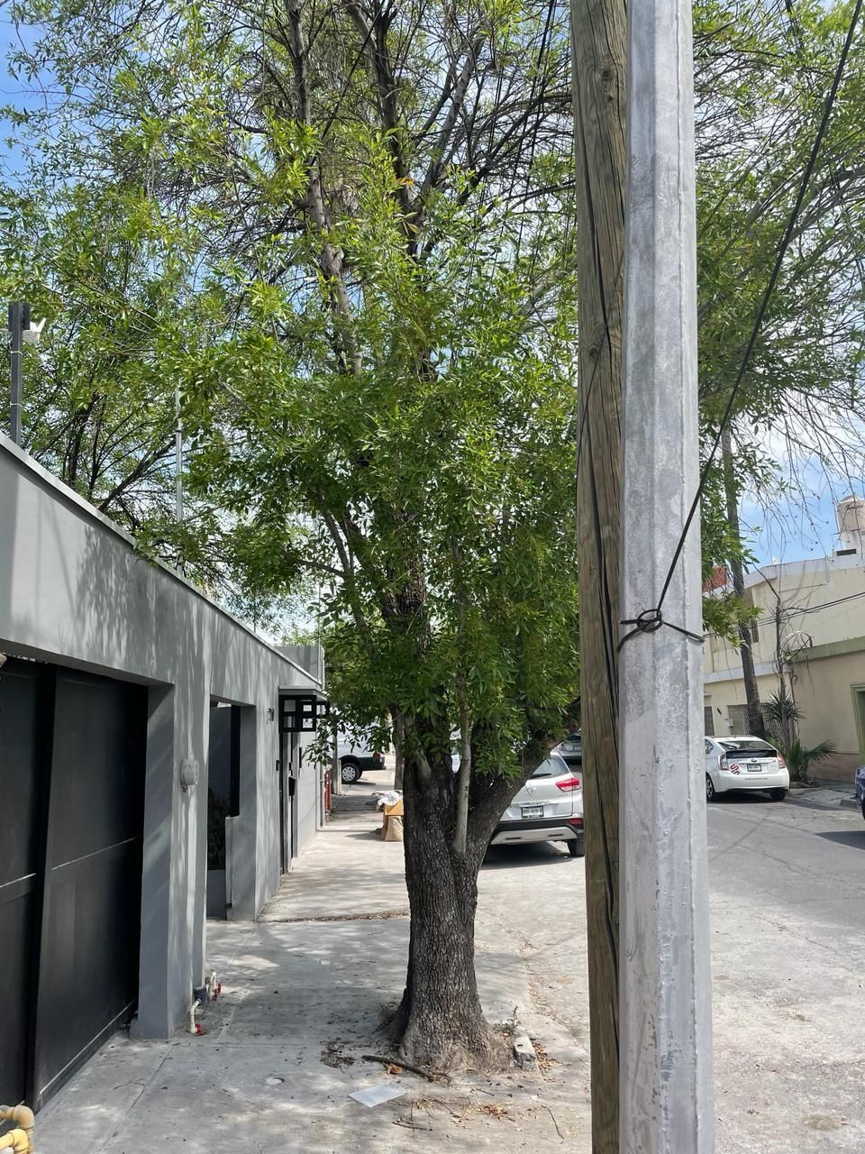 2 de 17