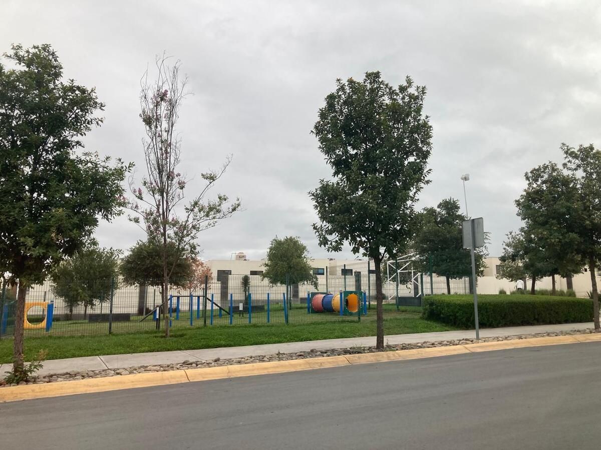 9 de 19