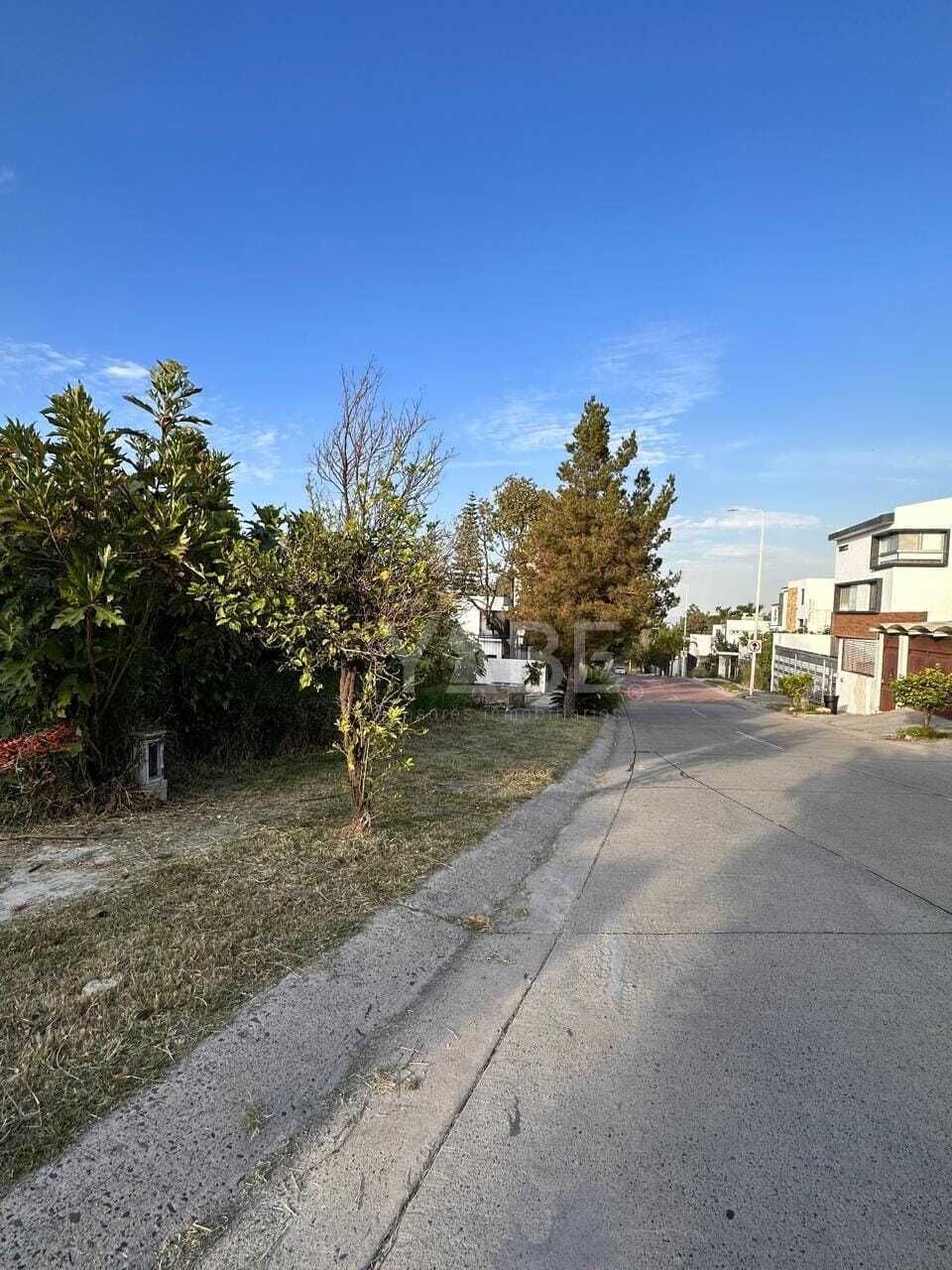 5 de 5