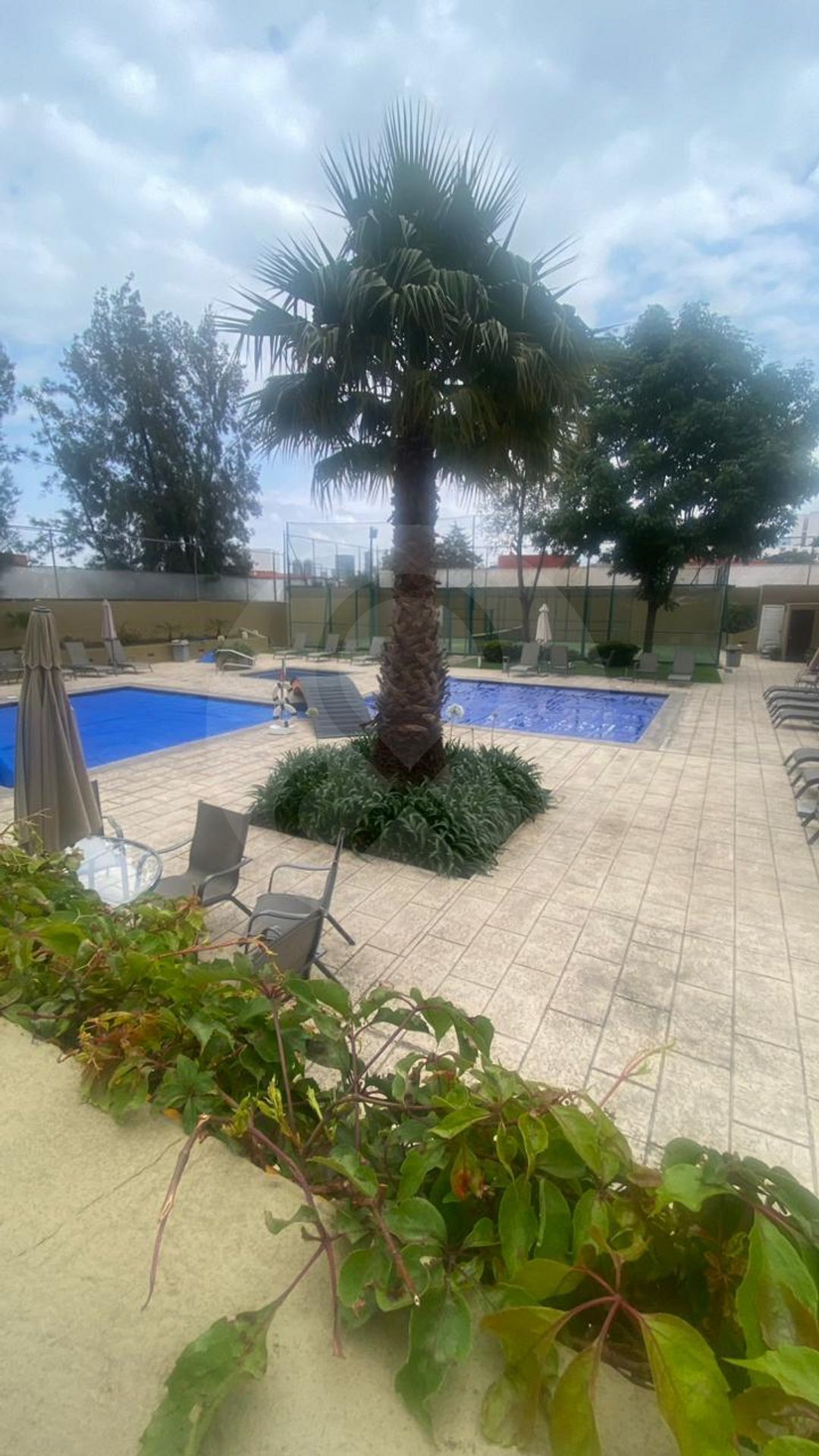 6 de 28