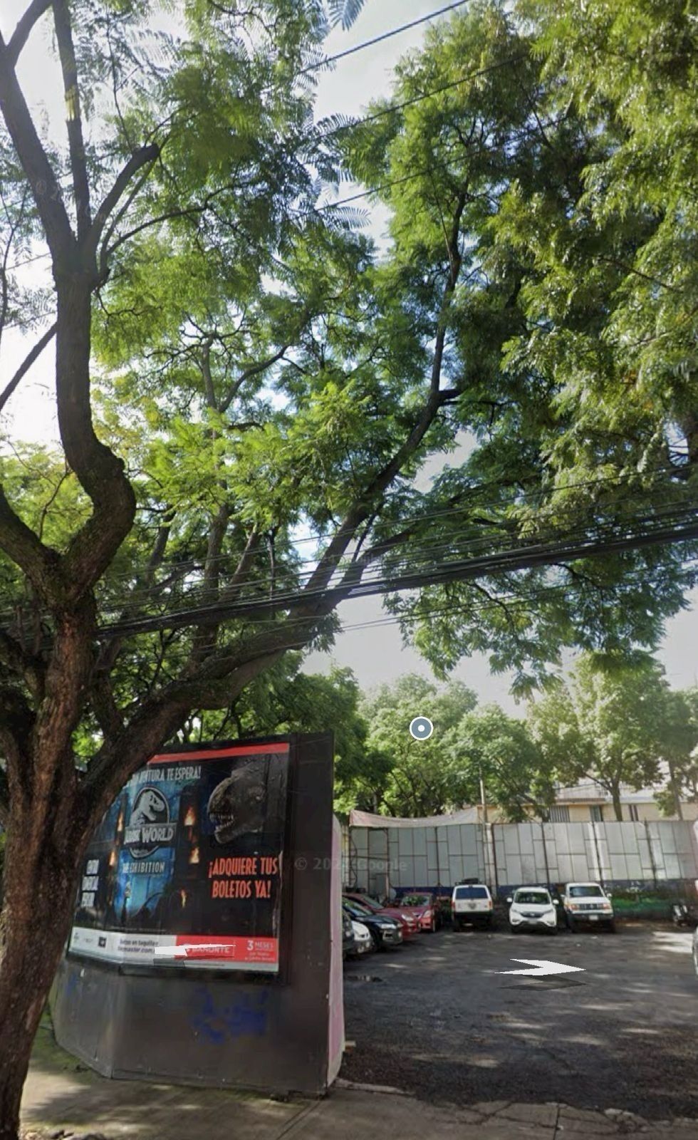 1 de 6