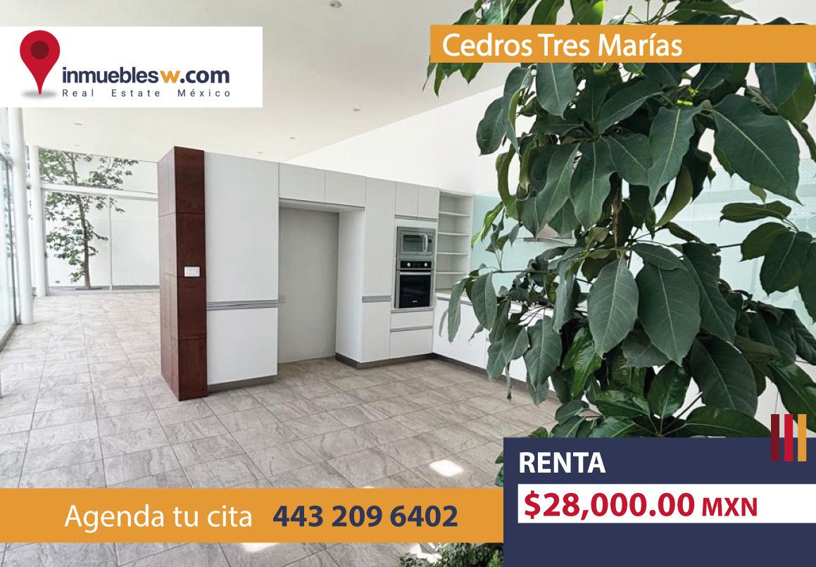 Imagen 1 de 10