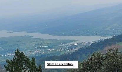 2 de 6