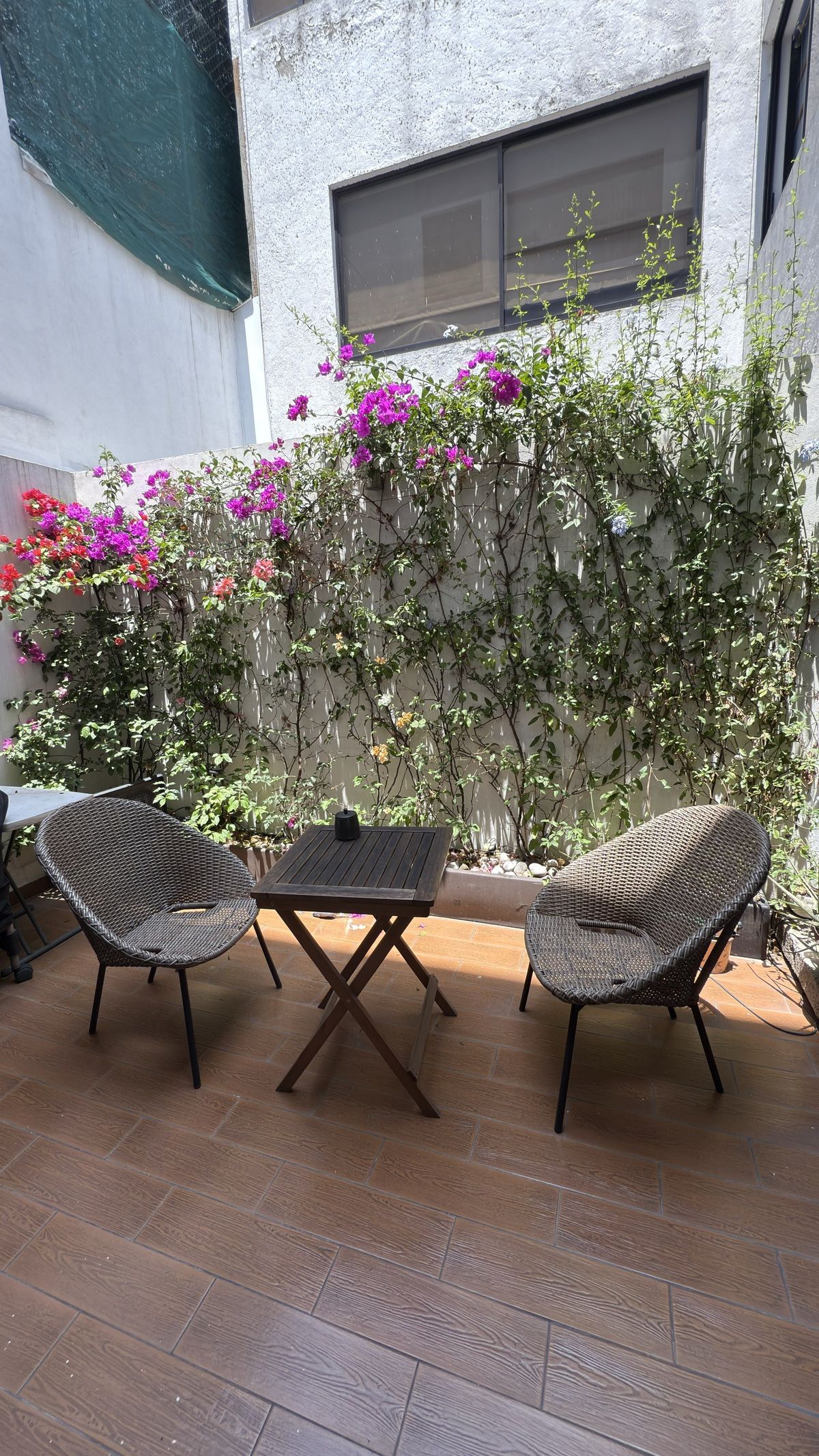 1 de 25: Terraza (Acceso desde el comedor y desde el antecomedor)