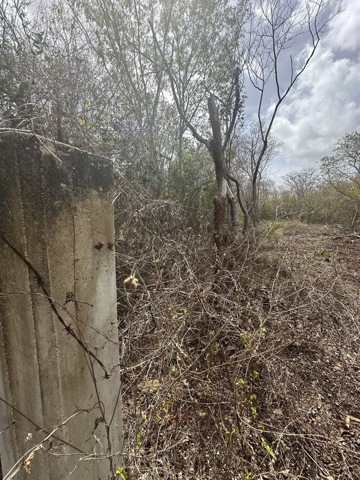 7 de 11: Terreno en venta