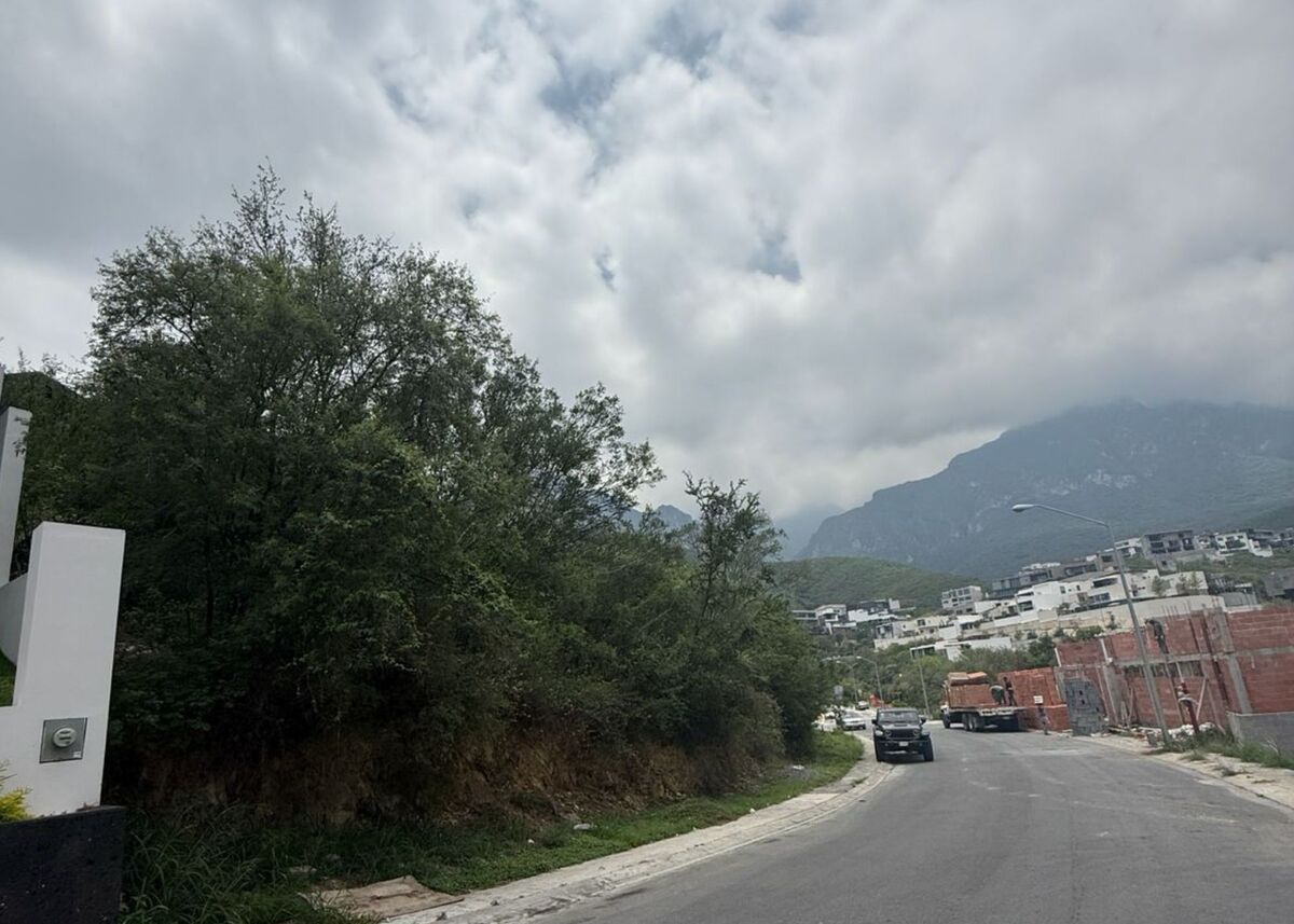 6 de 17