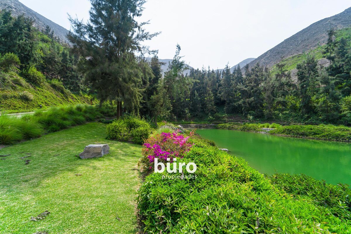 5 de 13: La laguna, paisaje precioso,área común