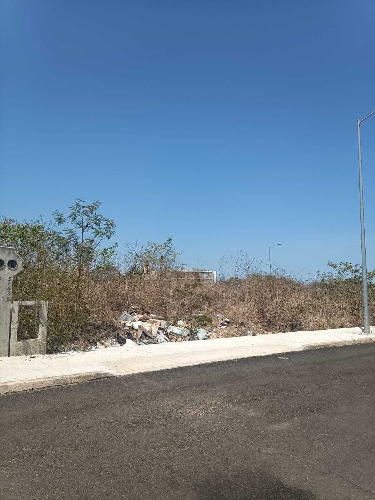2 de 7