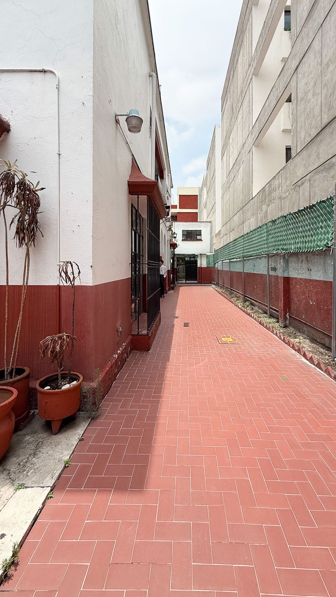 4 de 21
