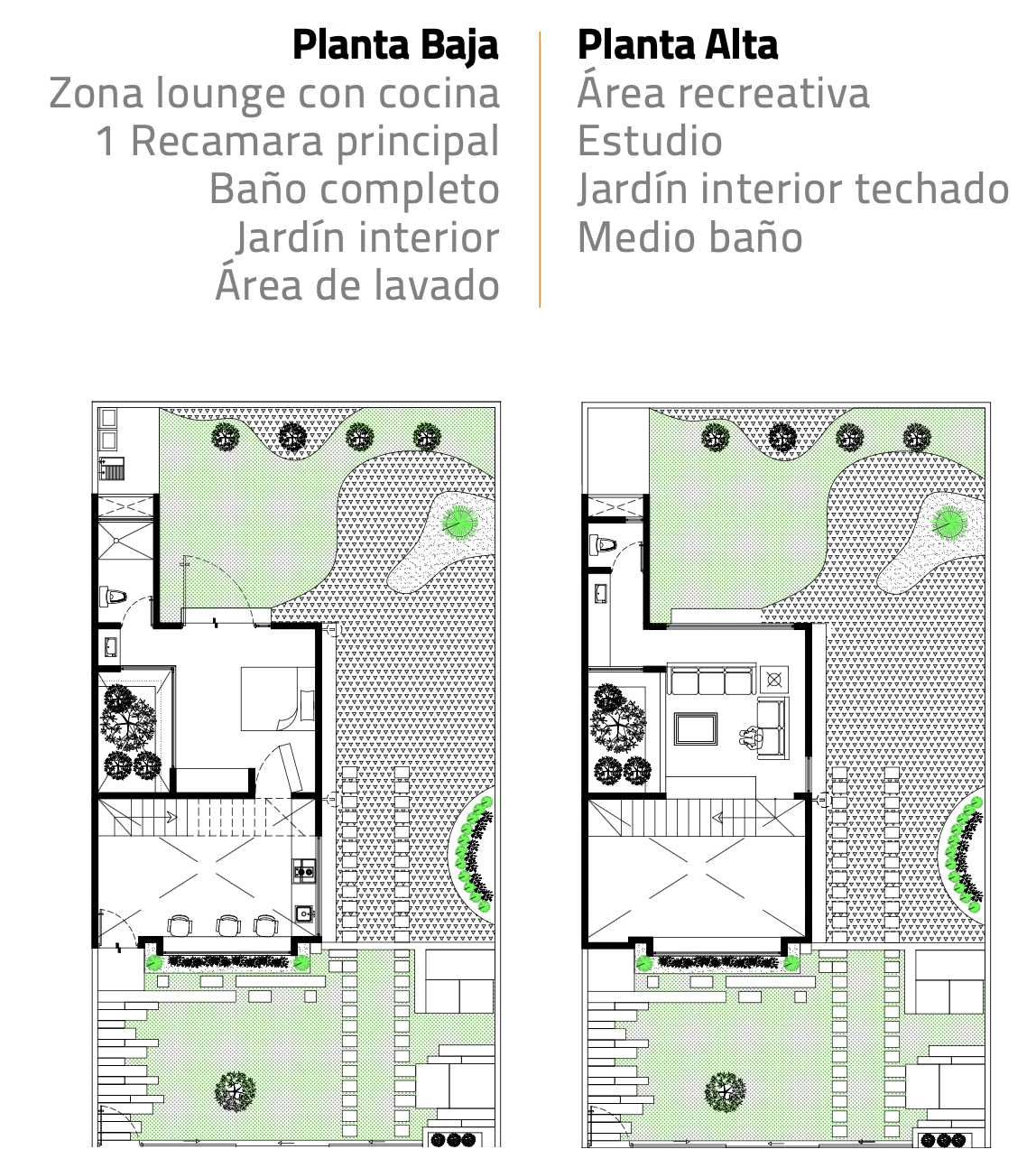 Imagen 9 de 9