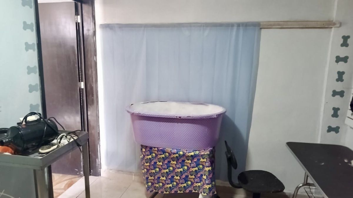 29 de 29