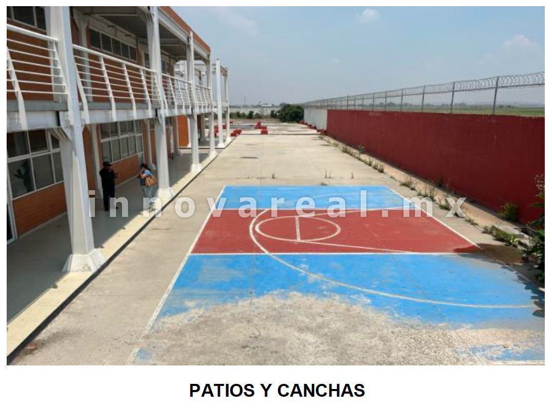7 de 12