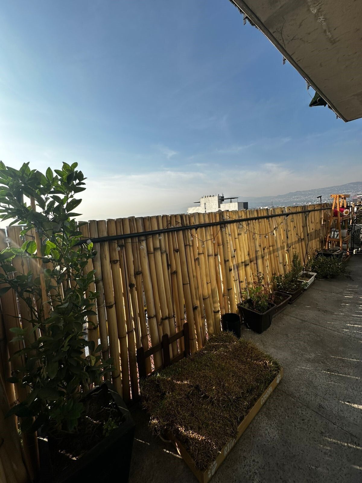 4 de 19: Departamento en Venta Pedregal de Carrasco Rayo Vende ®