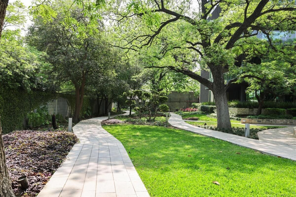 23 de 26: jardines y vitapidta
