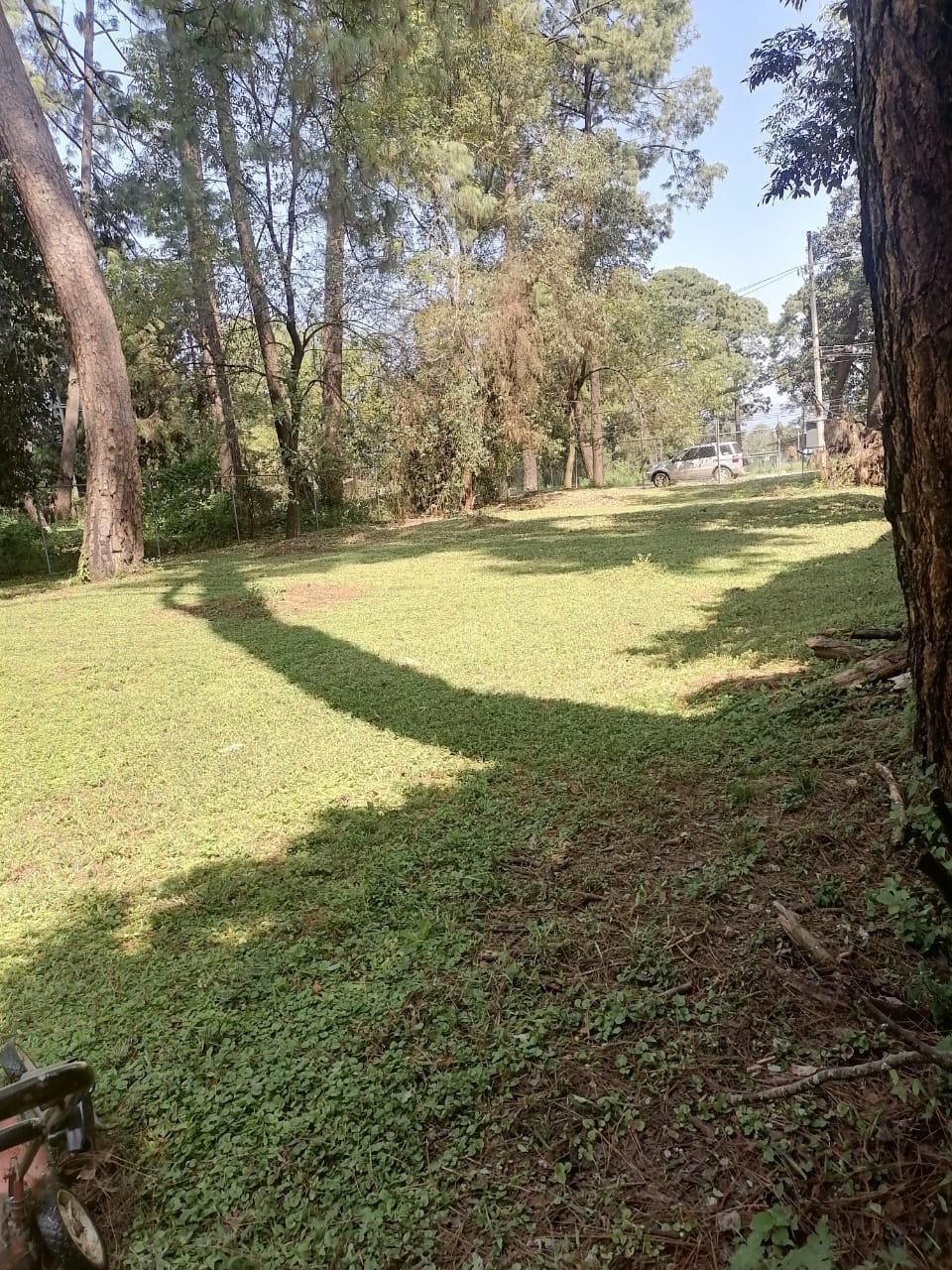 1 de 8
