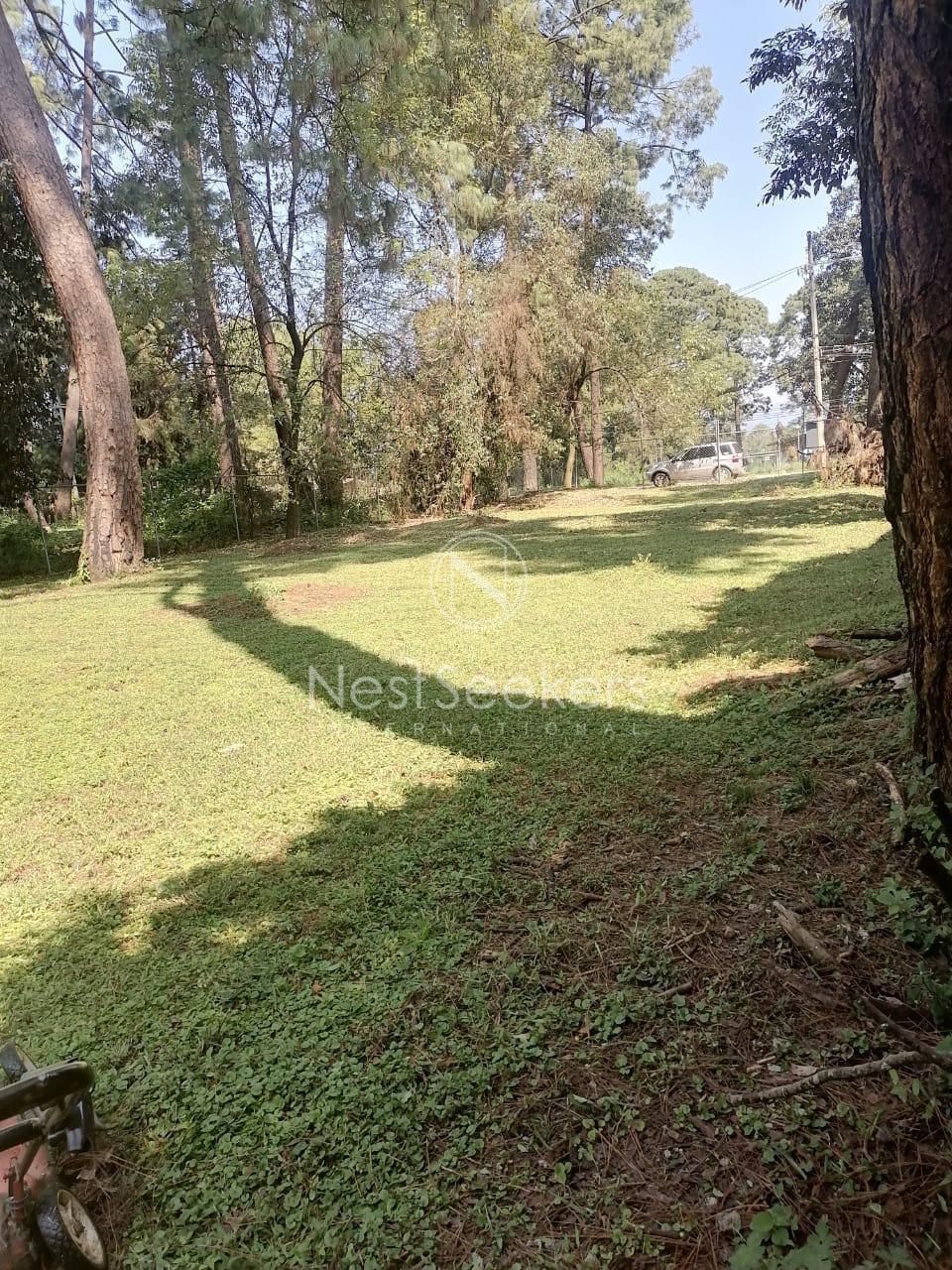 1 de 8