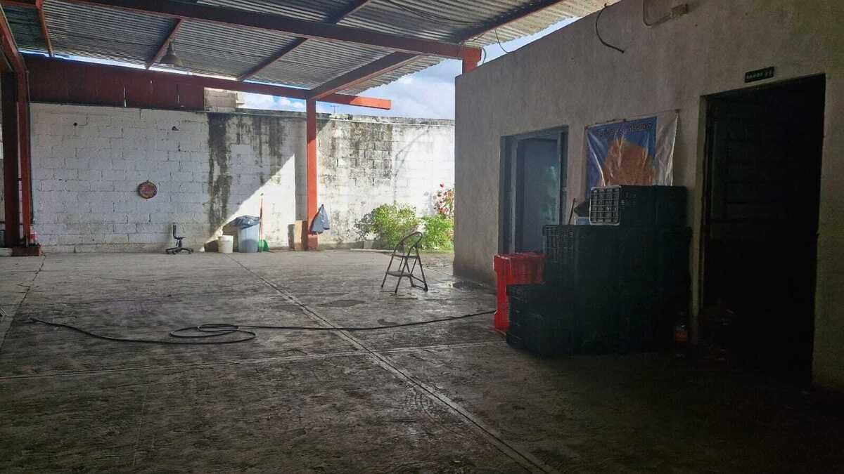 5 de 11