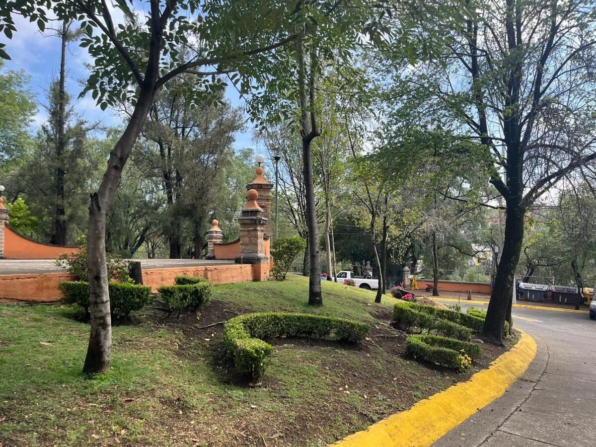 5 de 11