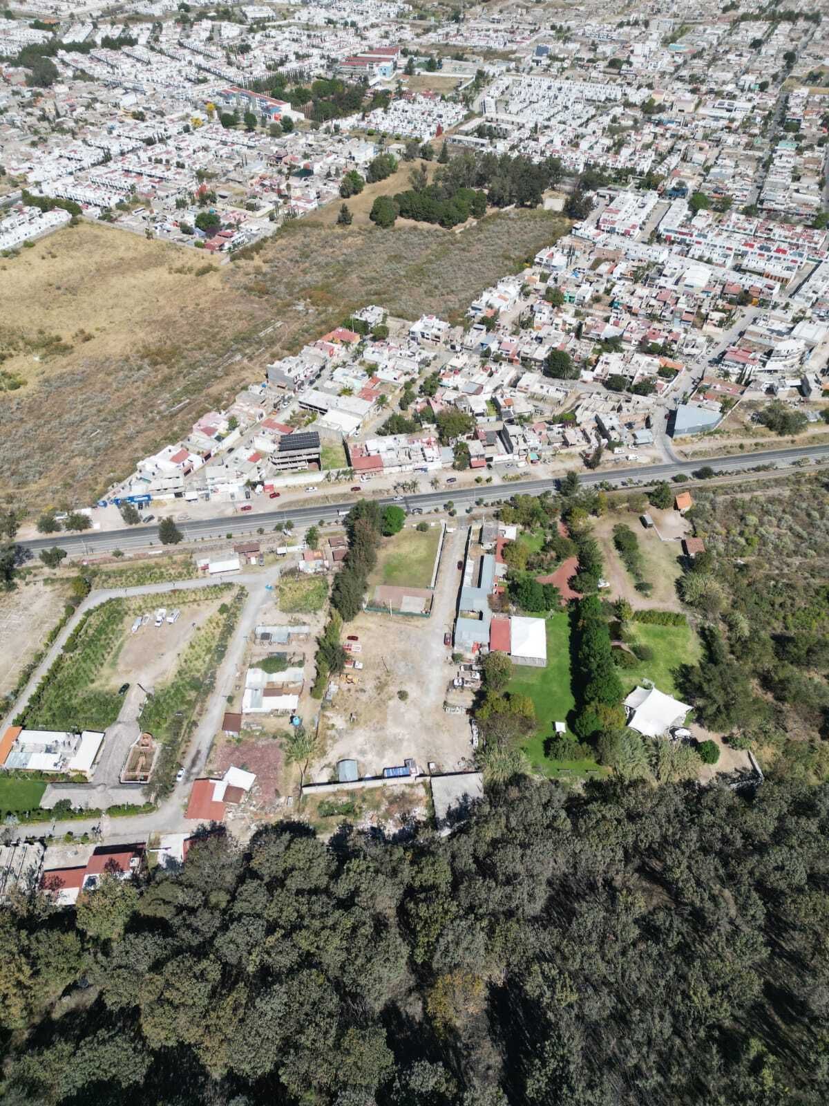 3 de 6