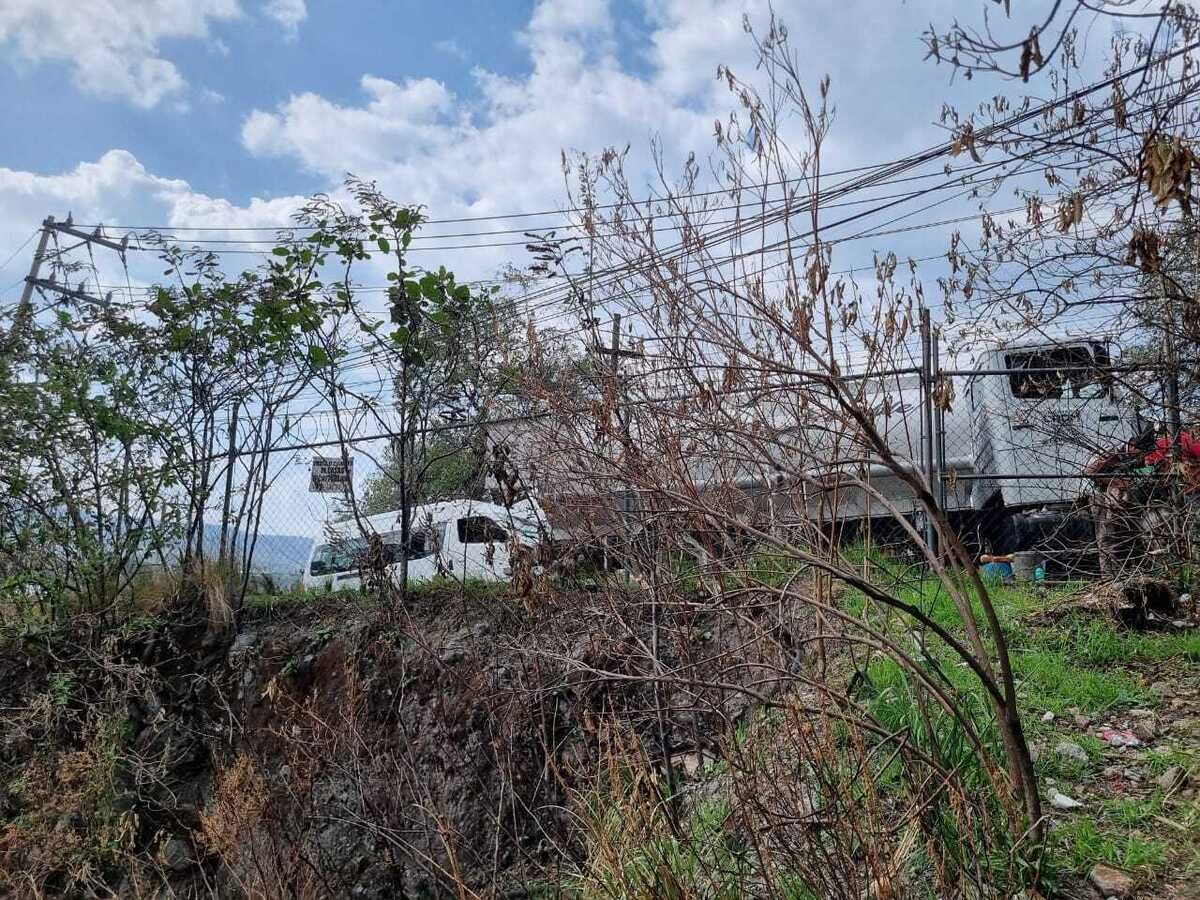5 de 13