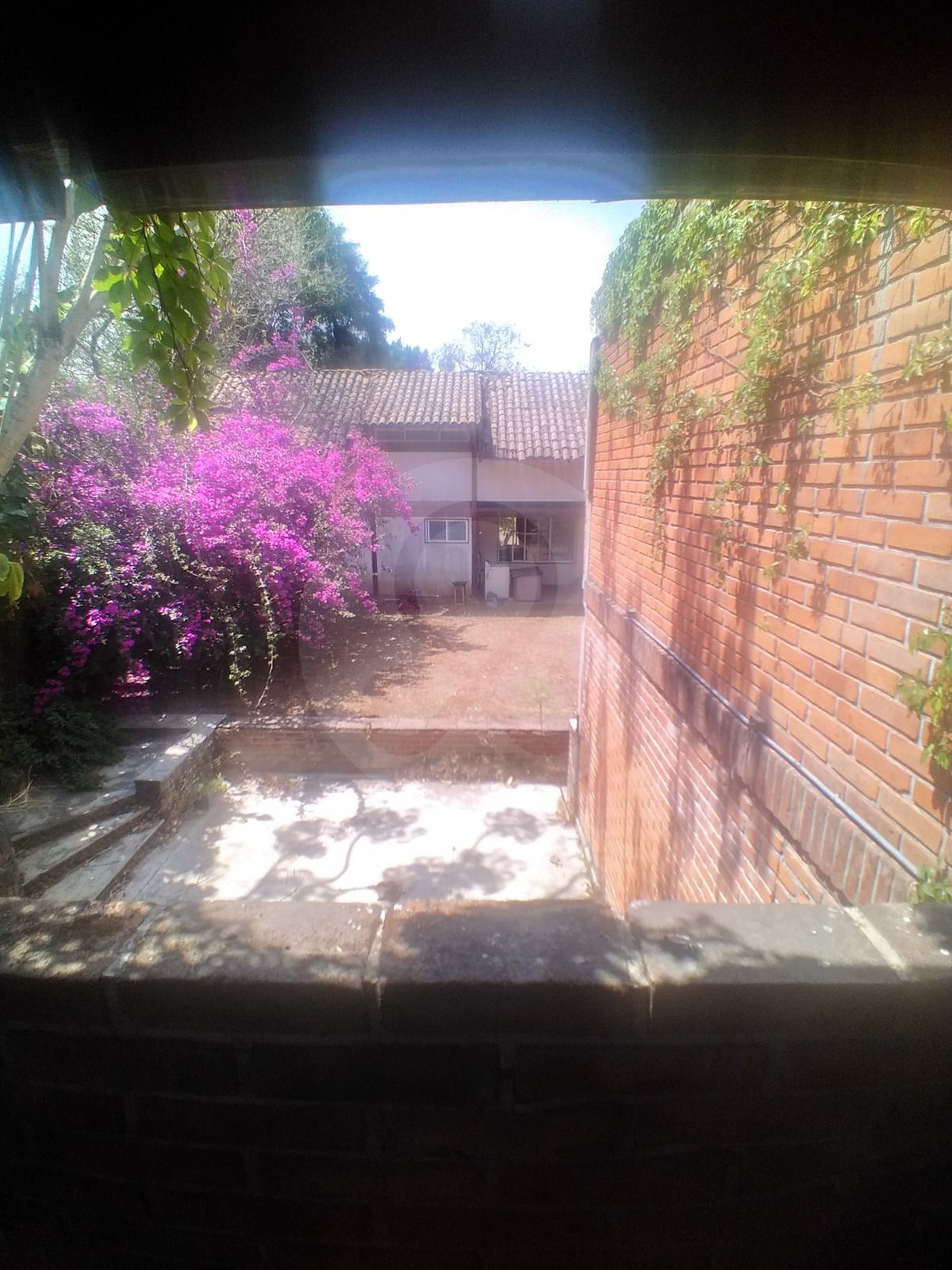 17 de 33