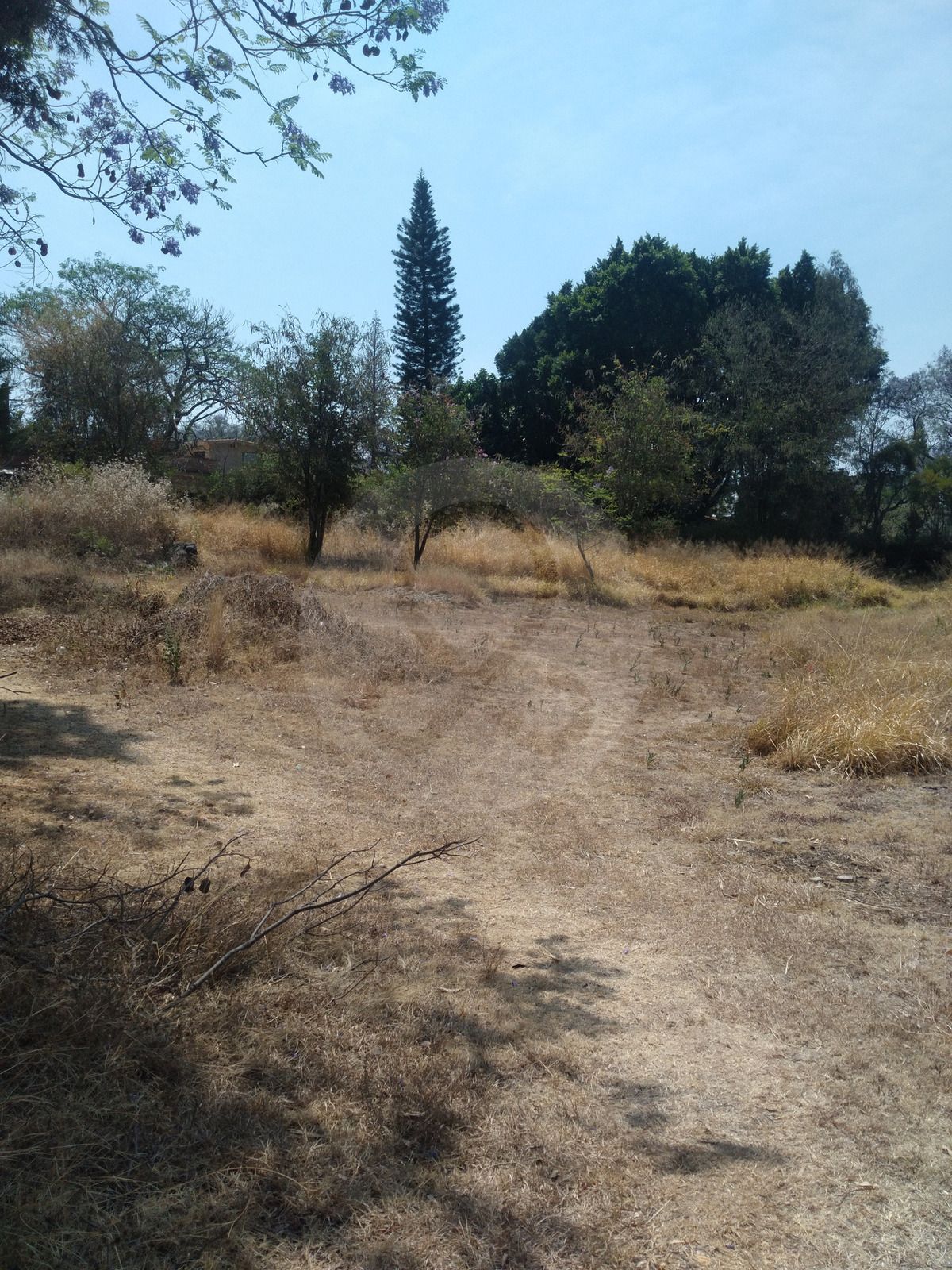 28 de 33