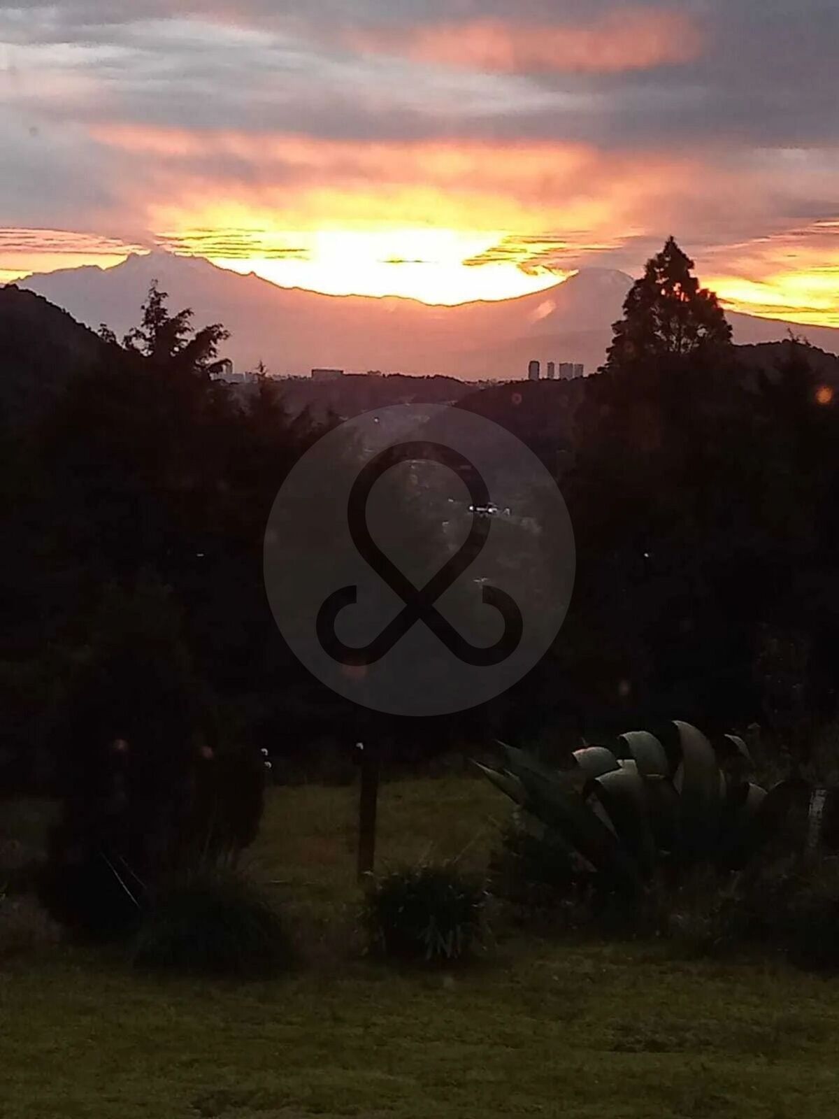 9 de 12