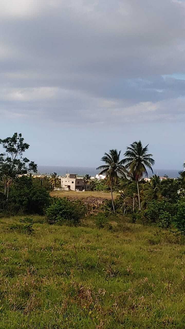 4 de 8