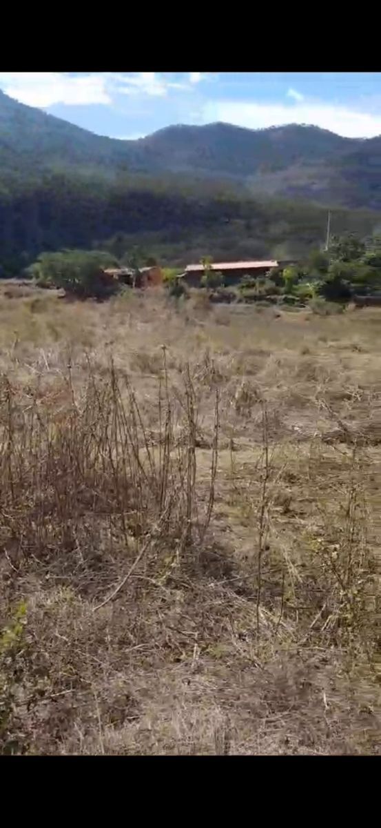 2 de 8