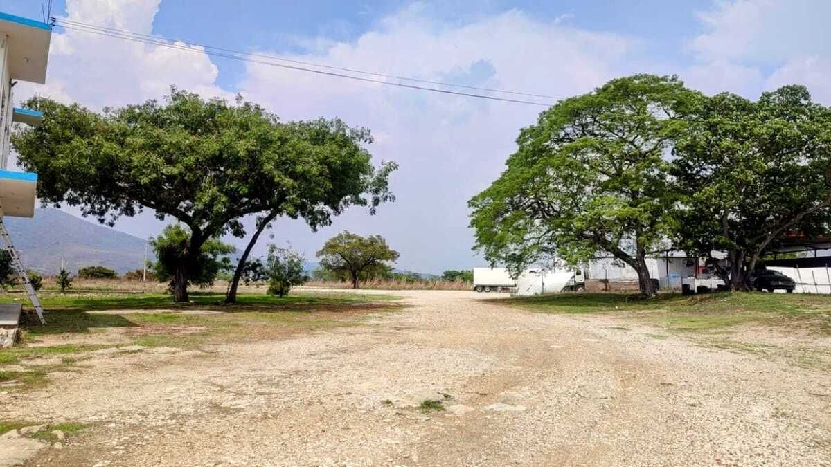 3 de 5