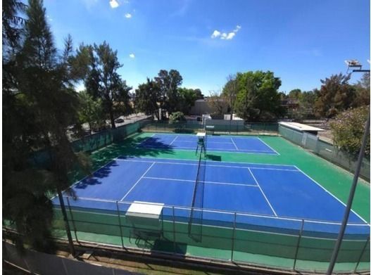 4 of 8: Cancha