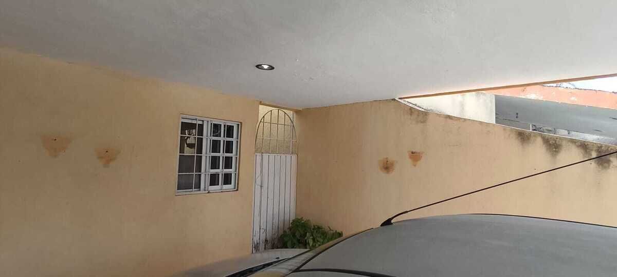 5 de 12