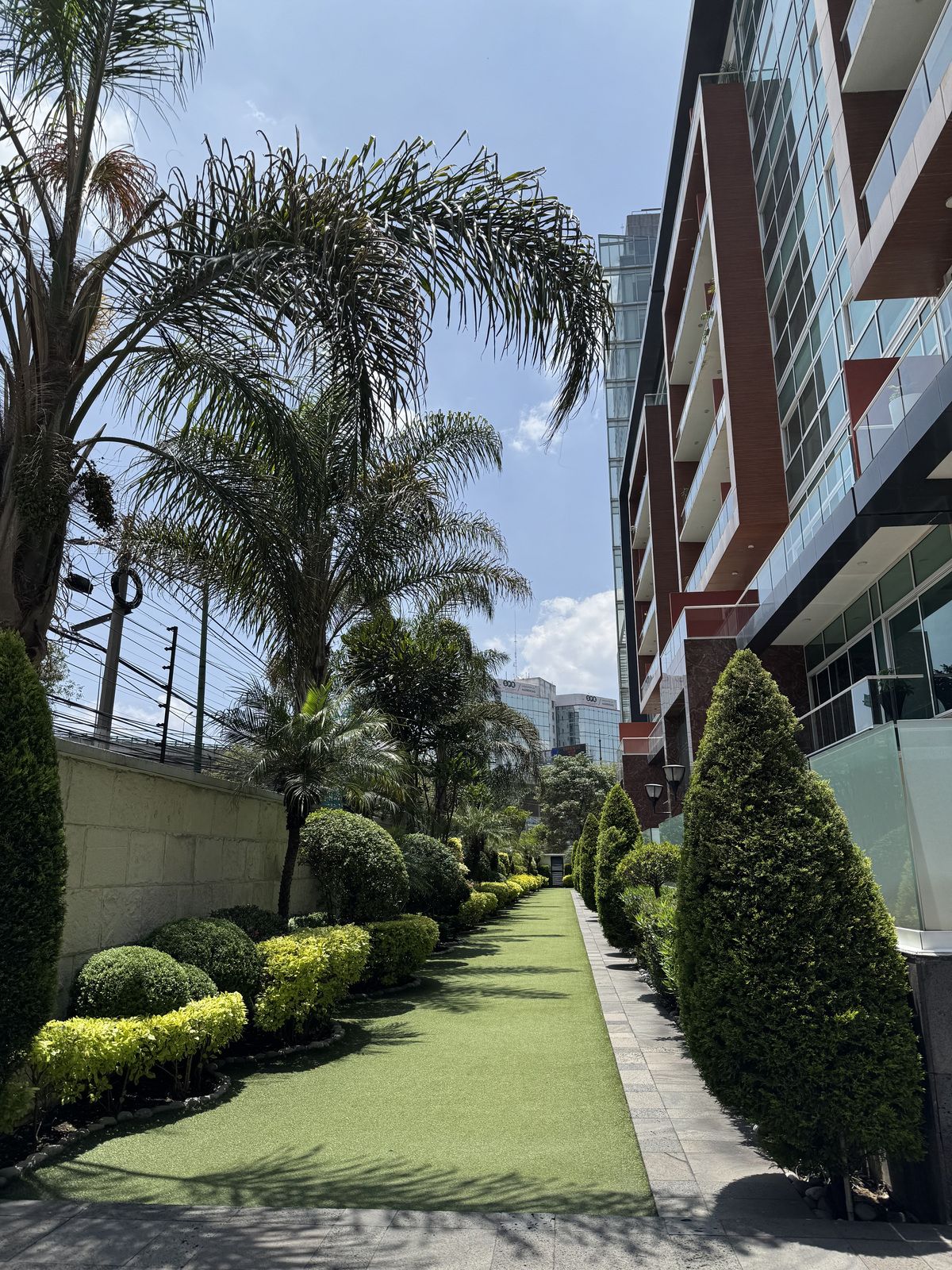 2 de 39: ENTRADA PRINCIPAL