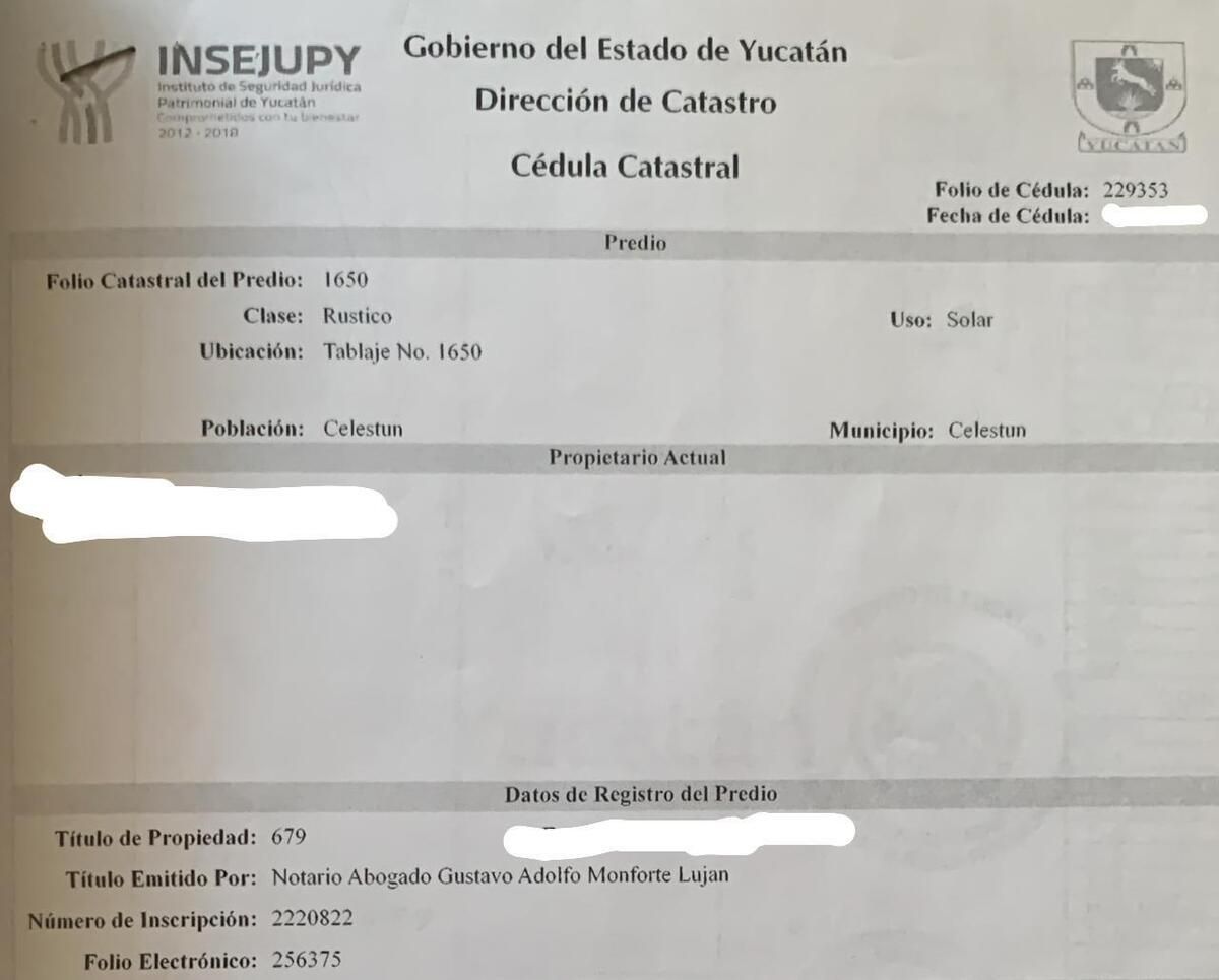 Imagen 4 de 6