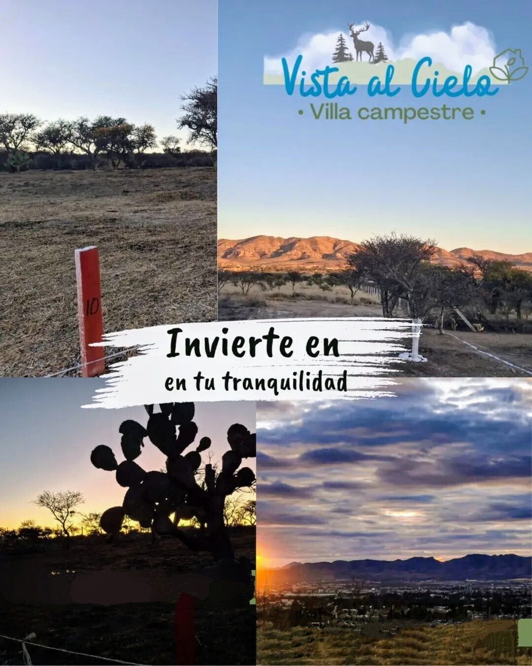 1 de 5