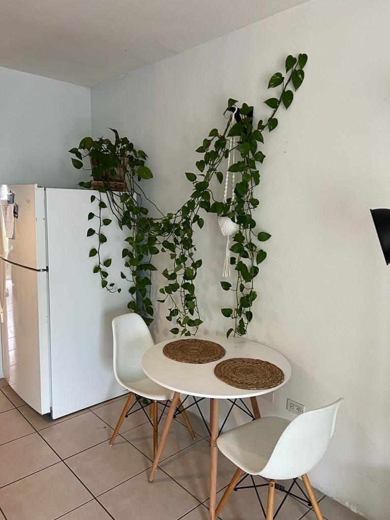5 de 22: Comedor planta baja