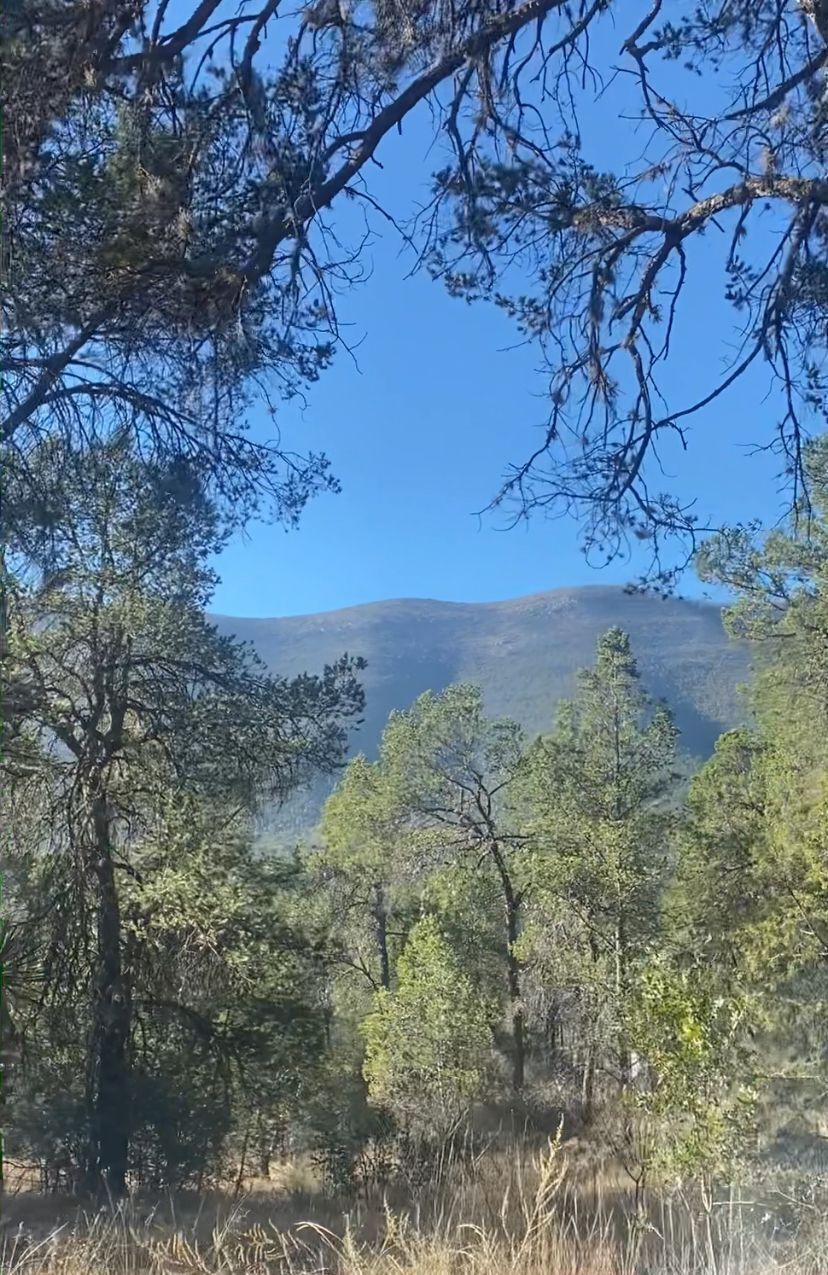 1 de 4