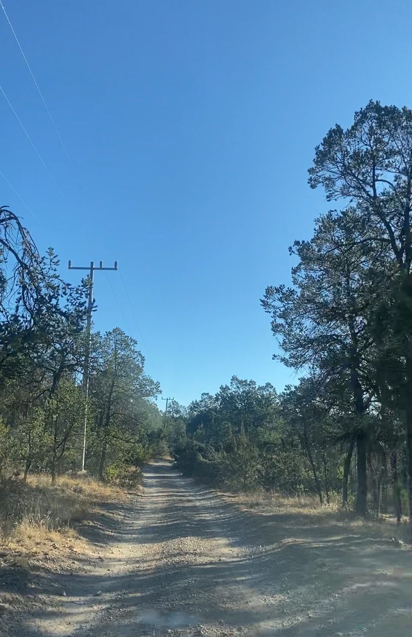 3 de 4