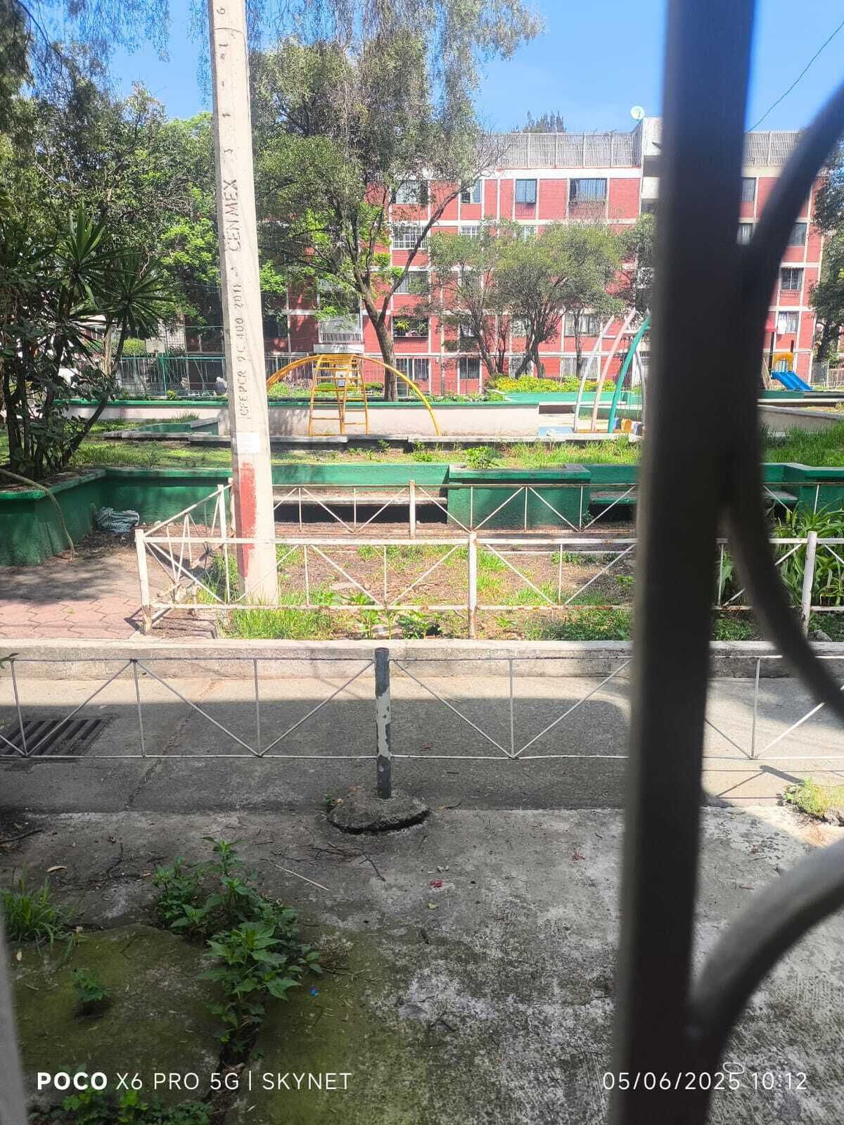 3 de 6