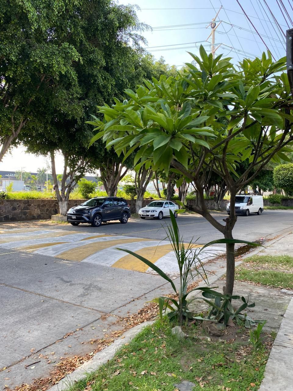 9 de 11