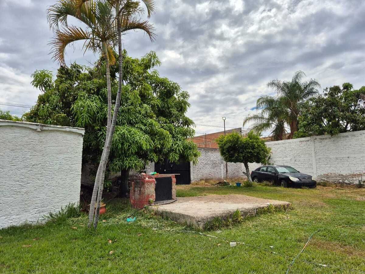 11 de 26