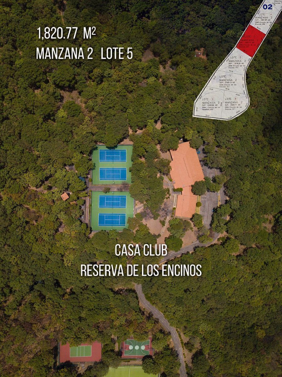 13 de 13