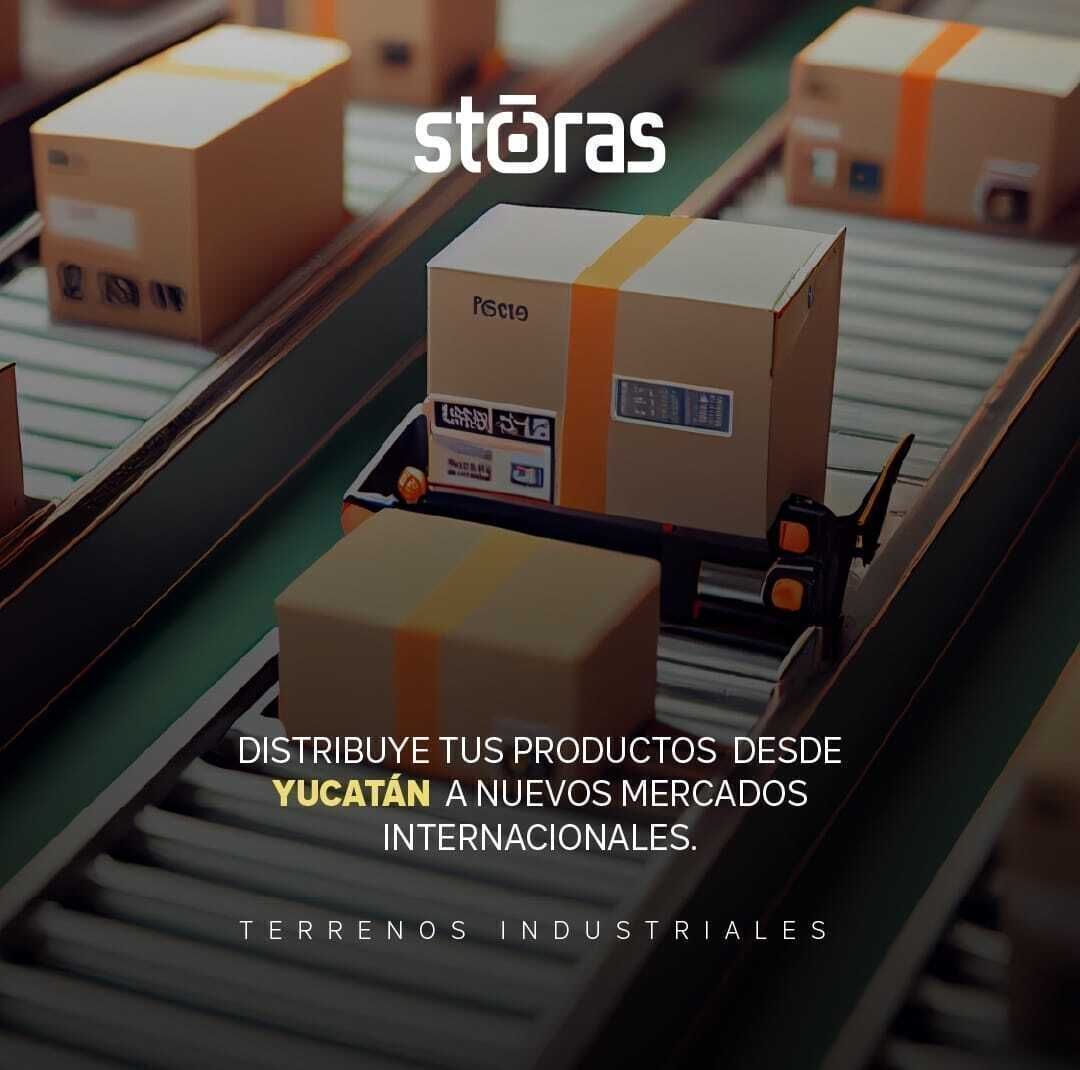 6 of 9: CONECTIVIDAD