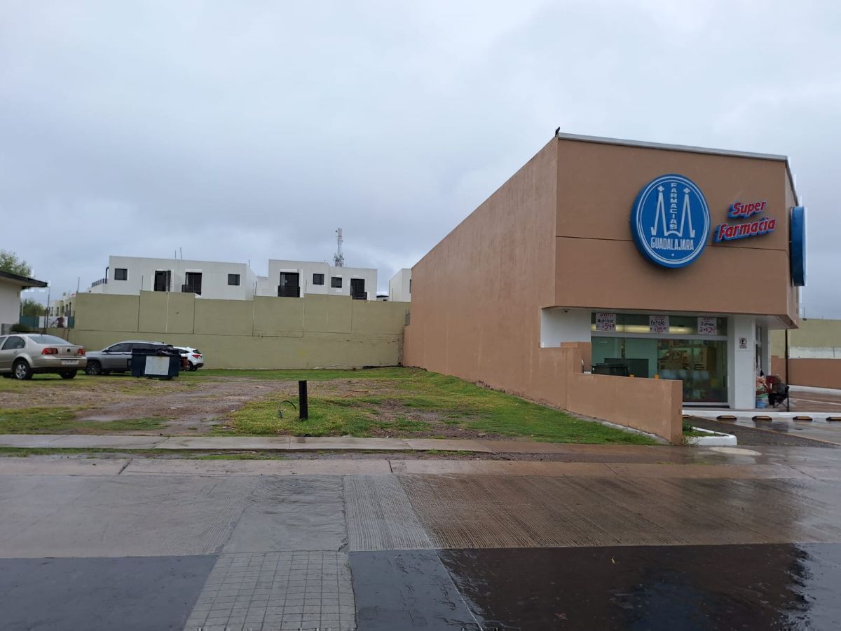 5 de 7