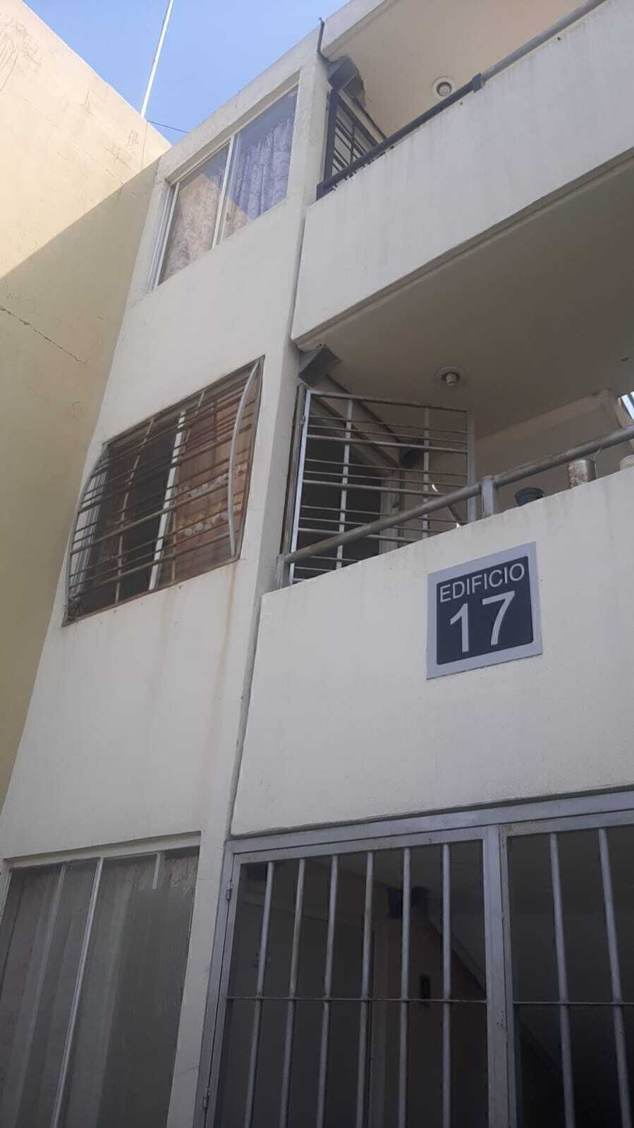 3 de 31