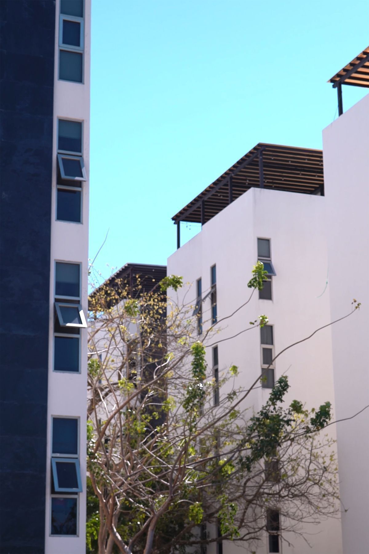 3 de 31