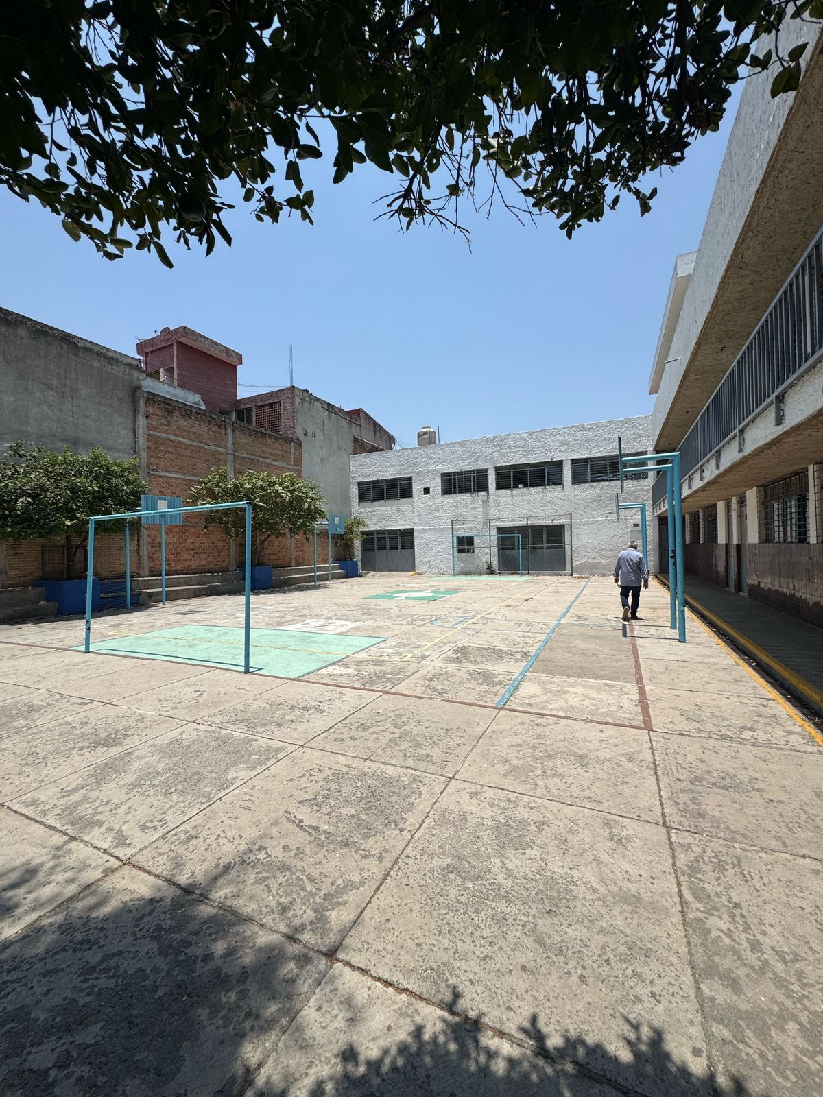 3 de 6