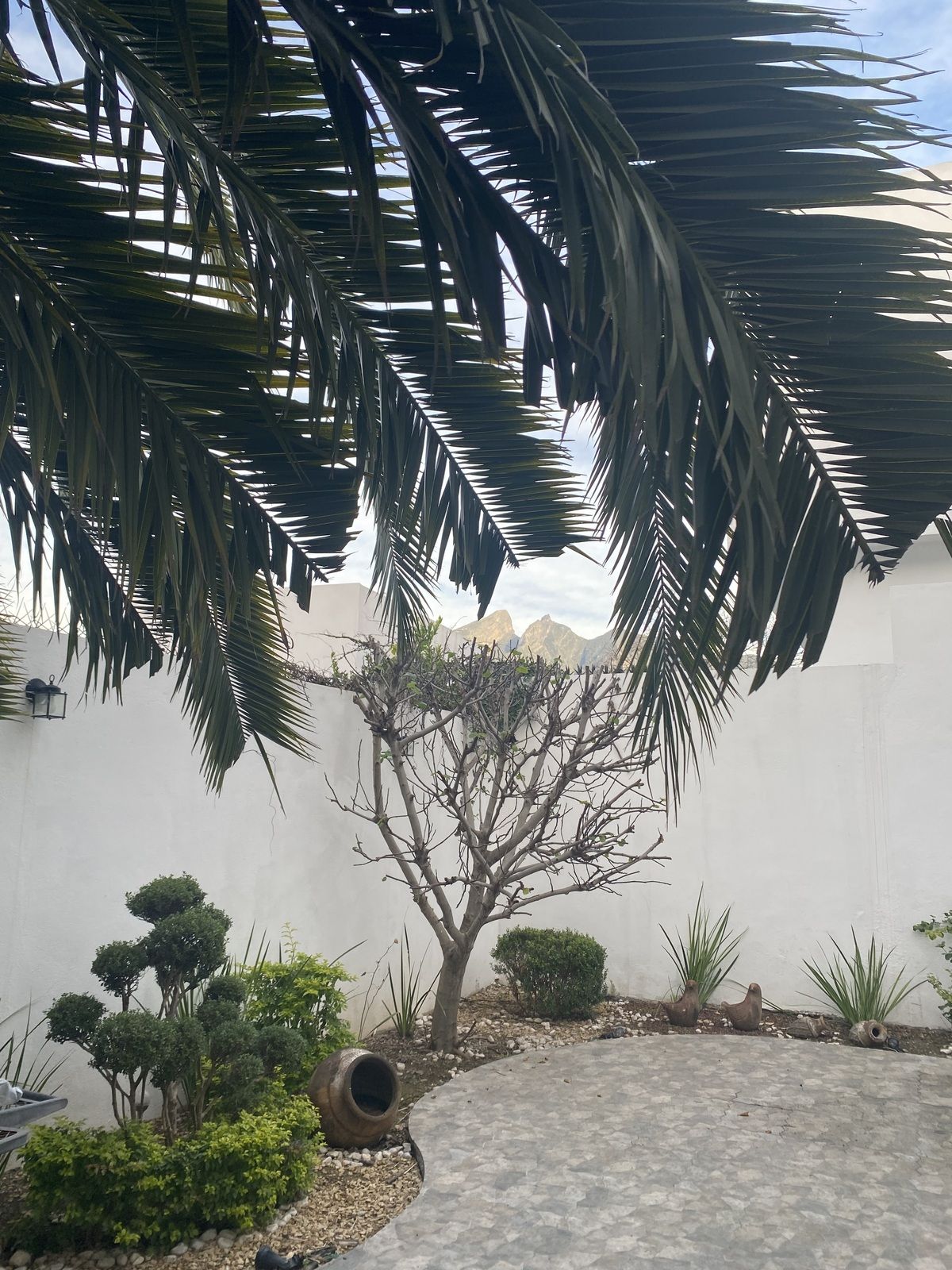 5 of 28: Patio trasero