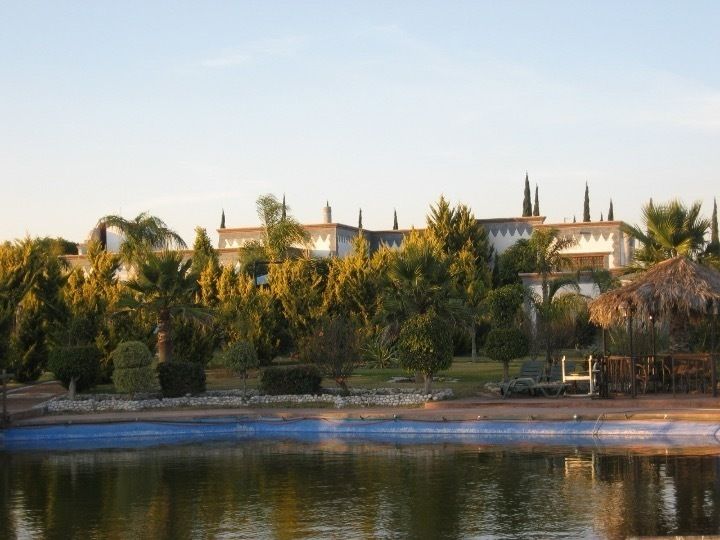 1 de 17