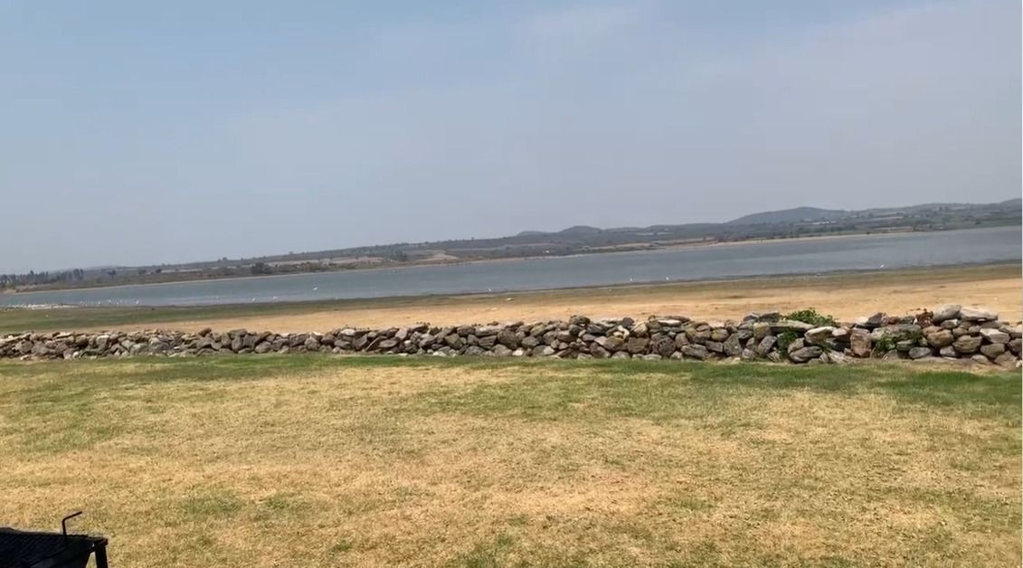 8 de 11